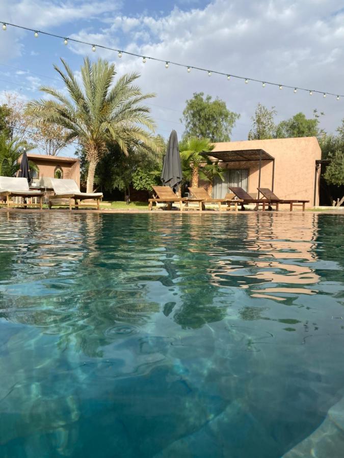 The Bird Hotell Douar Caïd Layadi Eksteriør bilde
